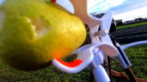 ТЕСТ МОЩНОЙ ПНЕВМАТИКИ, ЧТО ПРОБИВАЕТ? ПНЕВМАТИЧЕСКАЯ ВИНТОВКА (HATSAN 1000X)