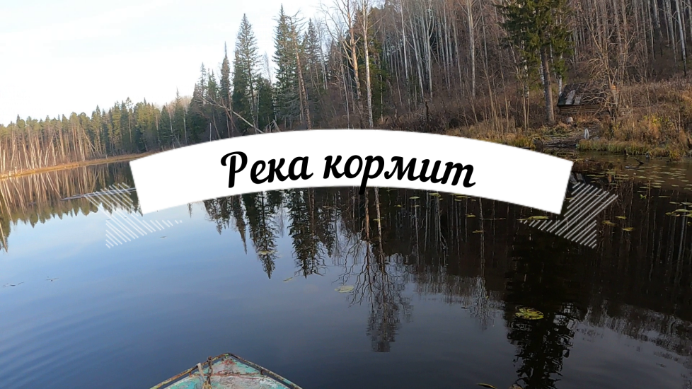 Река кормит. Выходные в лесу.