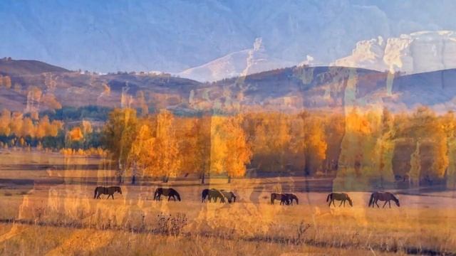 ПРИРОДА КАЗАХСТАНА. NATURE OF KAZAKHSTAN. смотреть онлайн