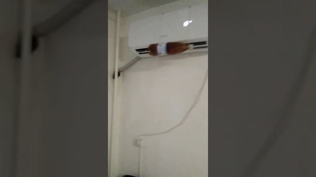 Охлаждение без холодильника в полевых условиях смотреть онлайн