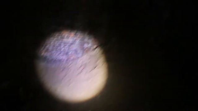 Замок, городской поселок Ружаны\ Беларусь\ Заброшенный дворец Сапегов\ vlog путешествий #70 смотреть онлайн