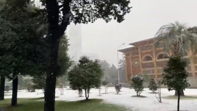 Прогулка от Нового Бульвара к старому Бульвару Батуми смотреть онлайн