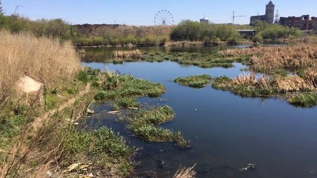 Хор на Университетской набережной смотреть онлайн