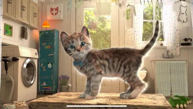 Little Kitten Preschool Adventure Educational Games -Play Fun Cute Kitten Pet Care Learning IOS #66 смотреть онлайн