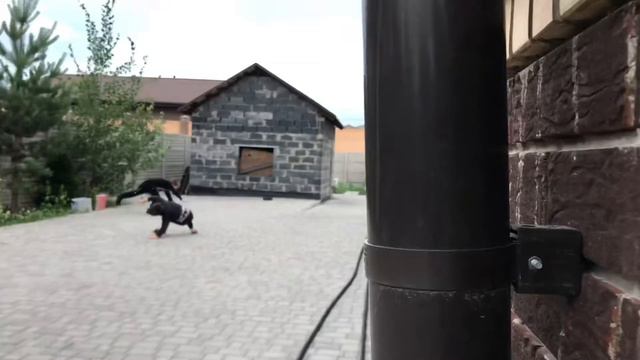 #Vlog1. Не знаю что ещё сказать! Просто #Vlog смотреть онлайн