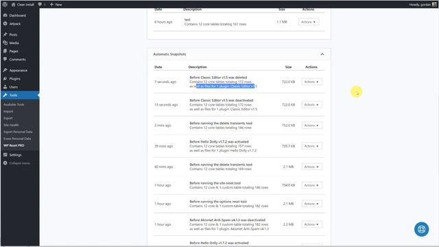 WP Reset PRO - presale overview смотреть онлайн