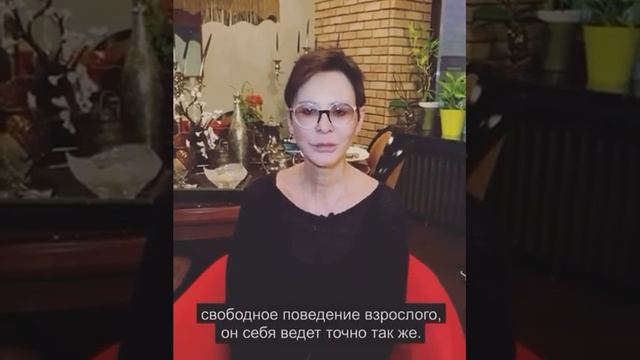 Почему троечники успешнее в жизни? смотреть онлайн