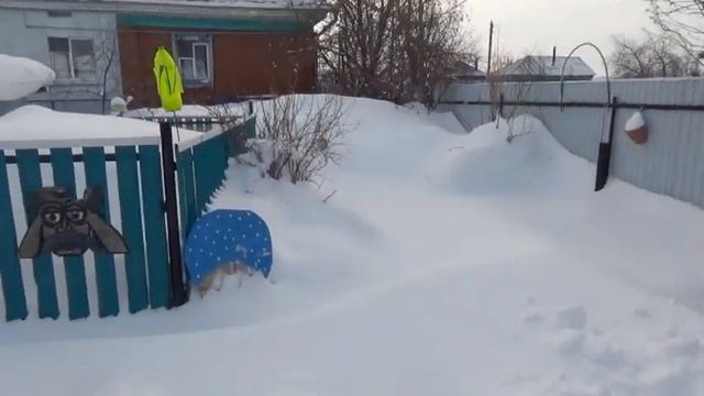 Зимой некуда и мы дома=))