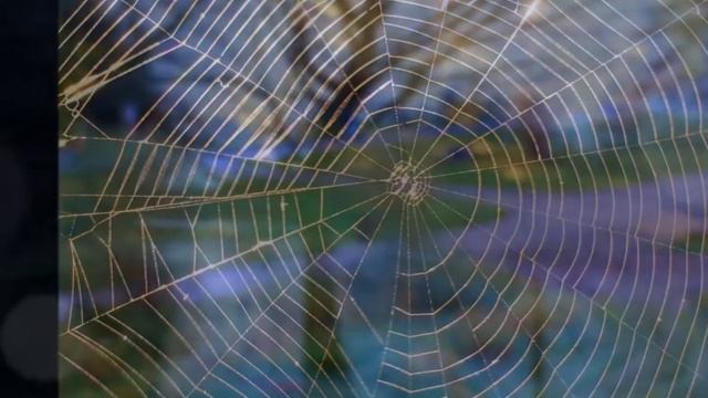 J. Schulz & M. Claudius: "Der Mond ist aufgegangen" смотреть онлайн