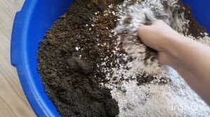 Идеальный грунт для посева семян перца и томатов на рассаду!!!