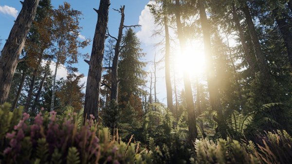 RUST REBORN BEDWARS СТРИМ/?ВЕБКА/!RUST/#shorts