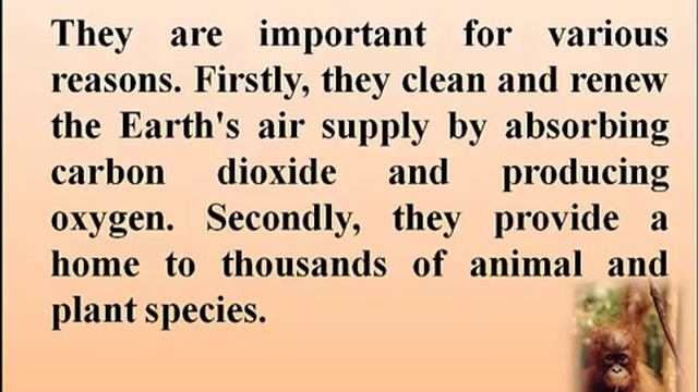 Tropical Rainforests