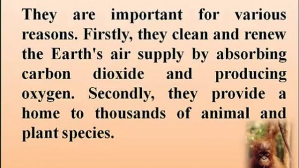 Tropical Rainforests