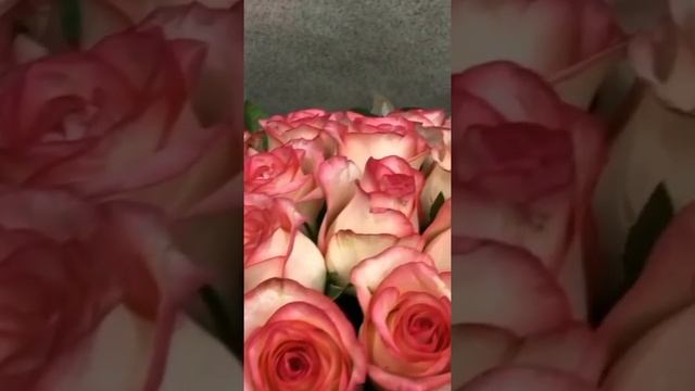 РОЗЫ ДЖУМИЛИЯ FLOWERS BOX DNEPR ЦВЕТЫ В ШЛЯПНОЙ КРУГЛОЙ КОРОБКЕ смотреть онлайн