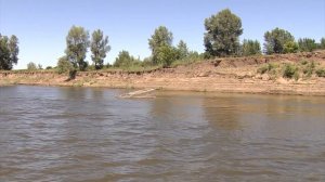 Уроки мастерства - Ловля джигом на Ахтубе