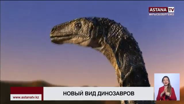 В Бразилии открыли неизвестный ранее вид динозавра смотреть онлайн