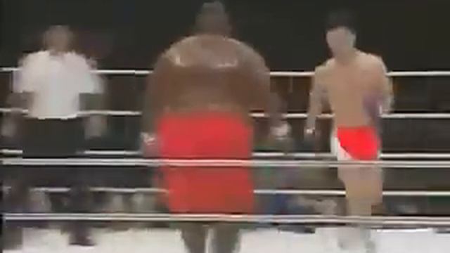 БОЙ БОКСЕРА И СУМОИСТА - ПРИКОЛ смотреть онлайн