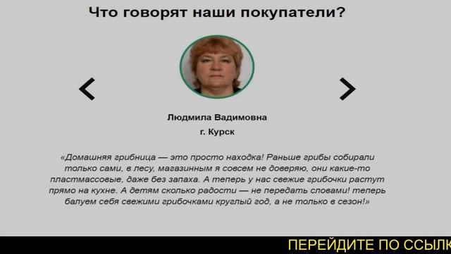 Набор грибов, грибы для выращивания, купить грибницу смотреть онлайн