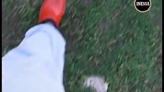 BLOG: Уборка на даче, бомж Борис.)) смотреть онлайн