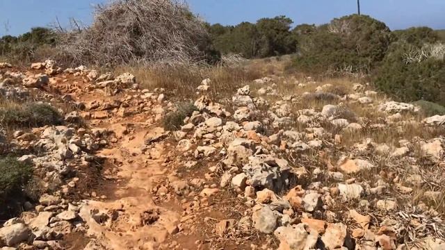 Чилл на Кипре: Протарас, Айя-Напа, Ларнака смотреть онлайн