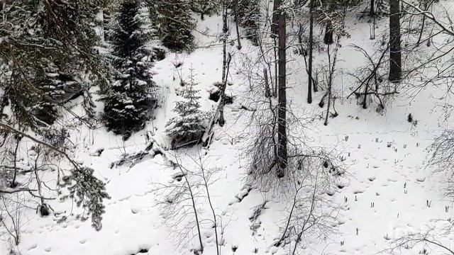 Медитация : Природа Белокурихи. Зимний пейзаж. смотреть онлайн