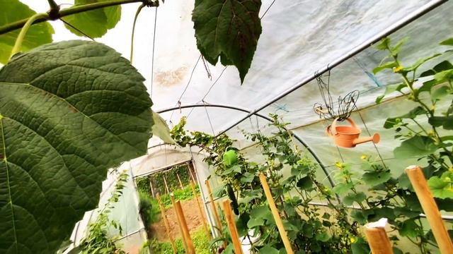 Verger, Août, 20 conseils pour les travaux au verger смотреть онлайн