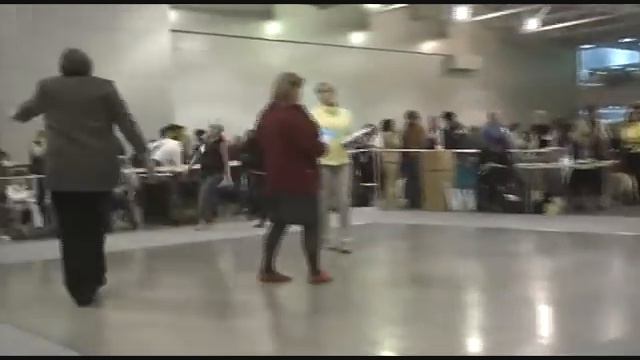 DogStatus.ru: Дельта-Пал. Лабрадор. Суки