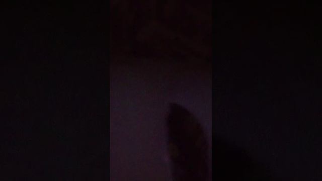 просто стрим смотреть онлайн