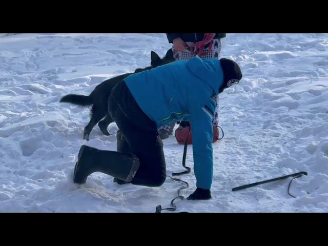 IMG 0039 смотреть онлайн