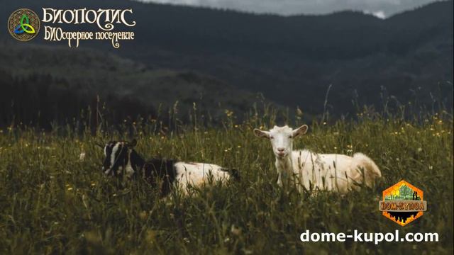 Модель Биосферного поселения. смотреть онлайн