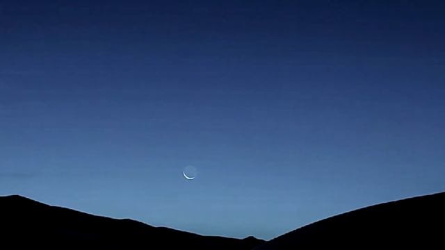 Геннадий Жуков. Жалоба акына . смотреть онлайн