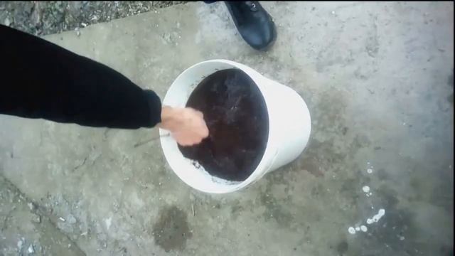 Как подготовить кокосовый субстрат смотреть онлайн