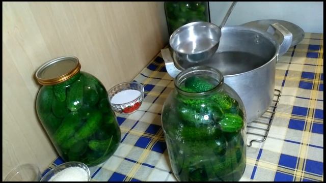 Рецепт ХРУСТЯЩИХ ОГУРЦОВ на зиму смотреть онлайн