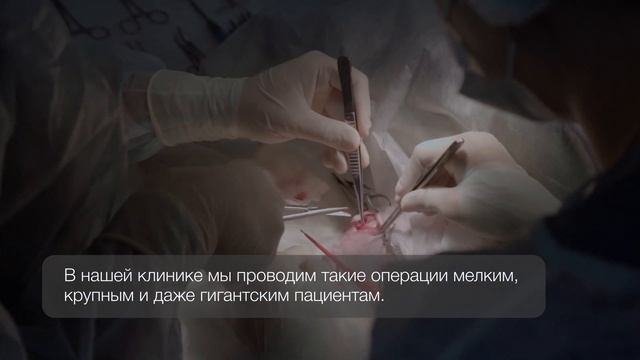 ИВЦ ЗАПАД Хирургия Бублик FINAL смотреть онлайн