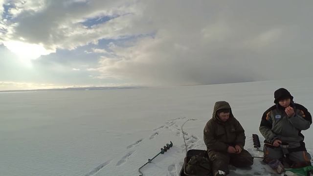 Ловля капризного окуня зимой. Волга. Балансир. смотреть онлайн