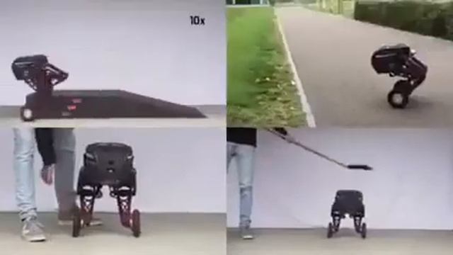 19 января 2022 г.