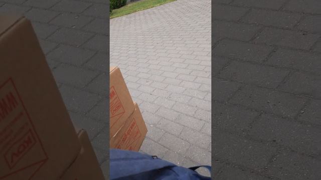 моё первое видео на Ютубе!!! я хочу уйти с работы потому что мне не дали денег!! задонатьте денег! смотреть онлайн