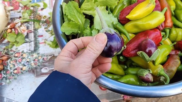 БОЛЬШЕ ЖДАТЬ НЕЛЬЗЯ! ПОСЛЕДНИЙ УРОЖАЙ В ЭТОМ ГОДУ. ГОТОВИМСЯ К ЗИМЕ. смотреть онлайн