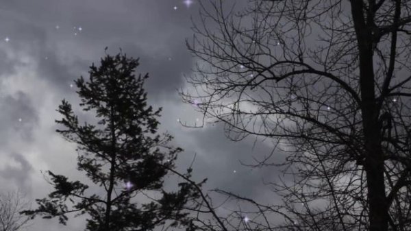 Wind Whisper - Calm and Relaxing Nature Music | Gentle Breeze | Stress Relief | Soothing Wind