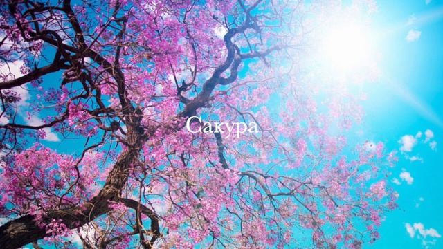 Сакура.mp4 смотреть онлайн