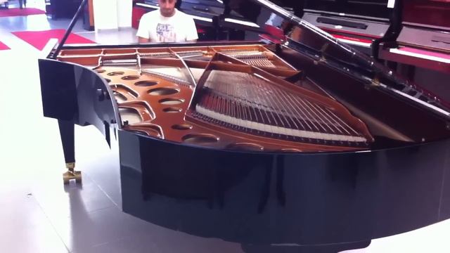 Gabriel Zenni Bosendorfer 290 Imperial смотреть онлайн