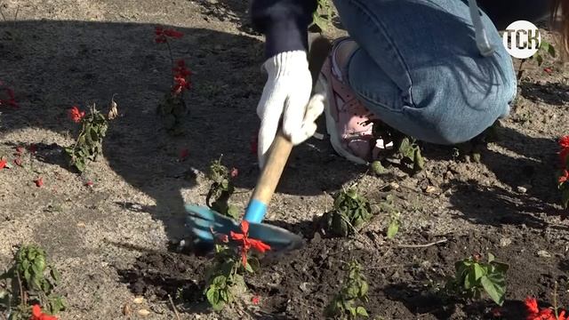 Трудовое лето, итоги! смотреть онлайн