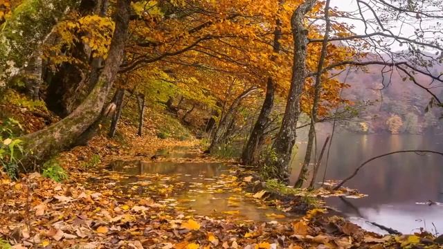 Природа Хорватии. Осенняя сказка / The nature of Croatia. Autumn fairy tale. смотреть онлайн