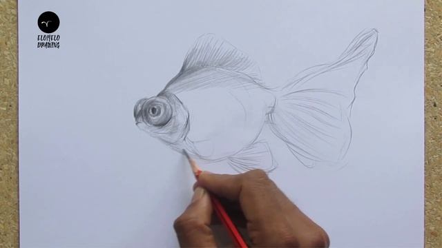 How To Draw A Black Moor Goldfish || Pencil Sketch || Drawing Tutorial || Art Video смотреть онлайн