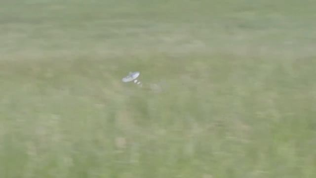27" rubber-powered Seafire - Anatomy of a Trim Session #1 смотреть онлайн