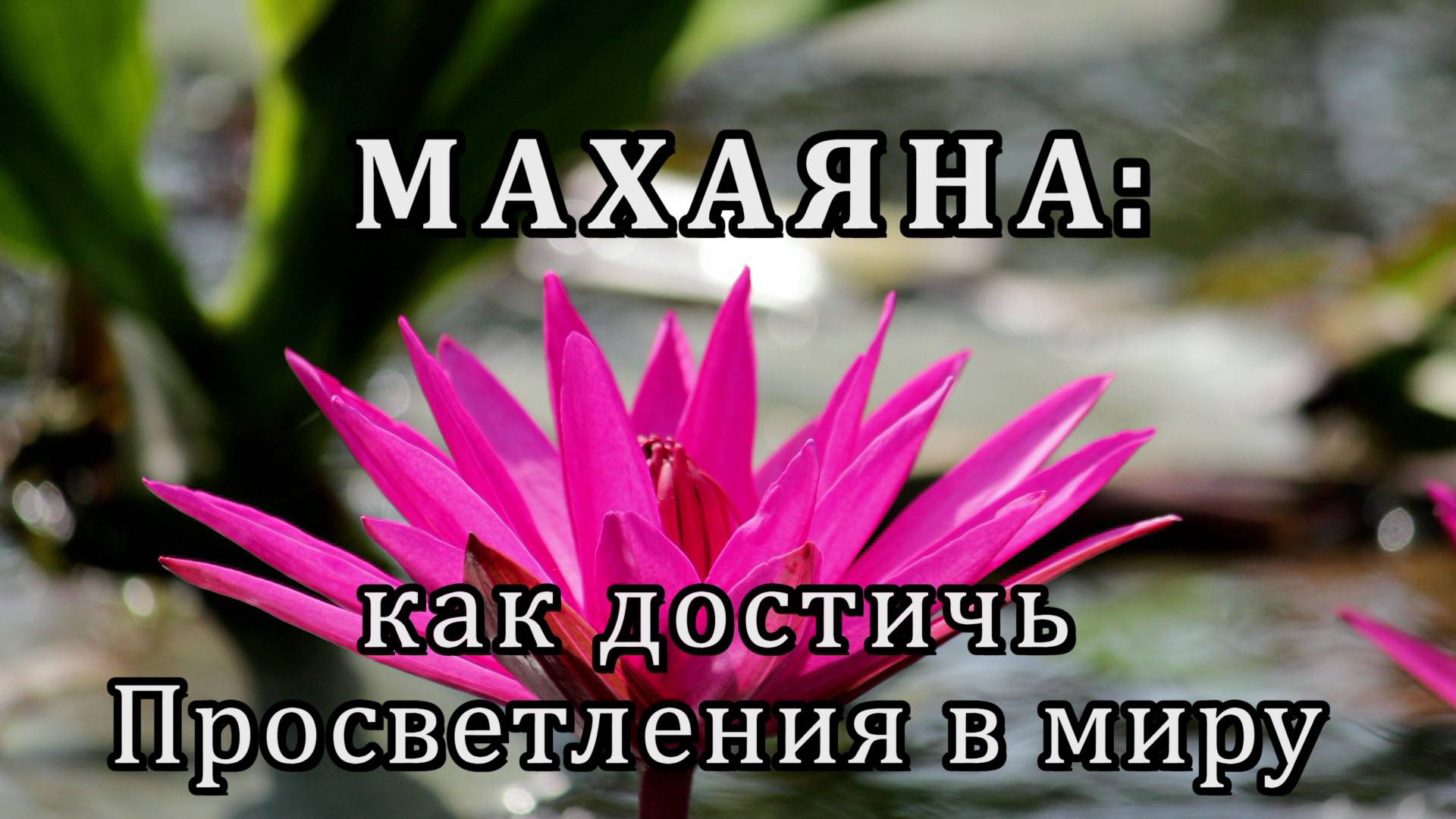Махаяна: как достичь Просветления в миру смотреть онлайн