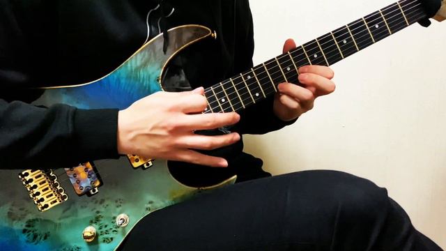 Enter Shikari - There's A Price On Your Head(guitar cover) смотреть онлайн