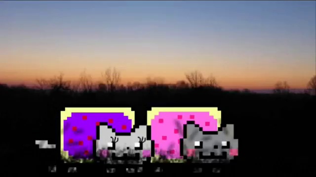 Le Nyan cat est amoureux смотреть онлайн