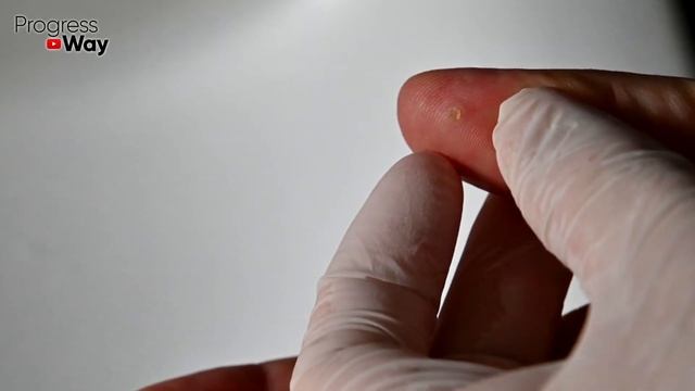 ВОТ ЧТО ТВОРИТ ТОЛСТЯНКА! (Крассула Реальная Польза и Вред Денежного Дерева) смотреть онлайн