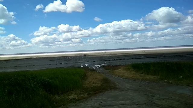 №203 Алтайский край.Бурсоль.Розовое озеро. смотреть онлайн